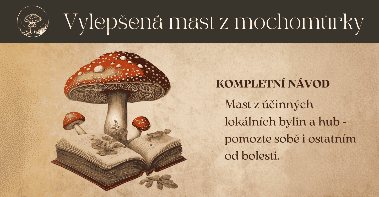 Mast z muchomůrky červené — e-kniha se třemi recepty